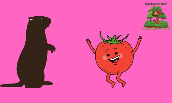 The Groundhog and Tomato Love Affair