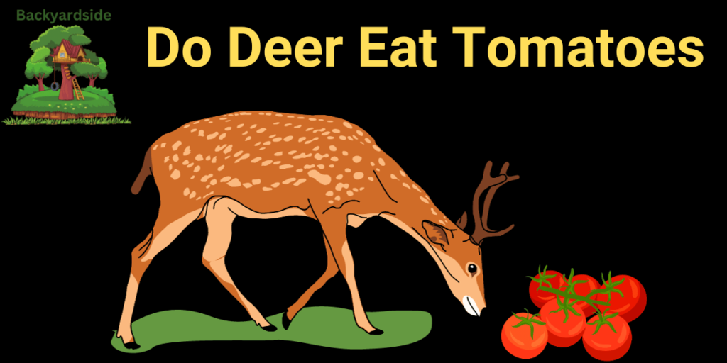 Do Deer Eat Tomatoes