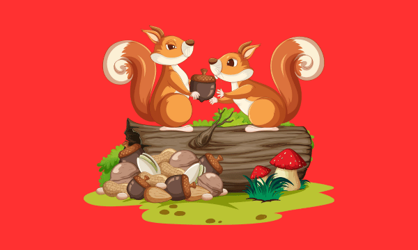 Squirrels Eat and Tomato Interactions