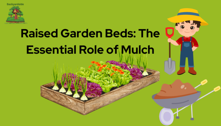Maximizing Your Raised Garden Beds: The Essential Role of Mulch