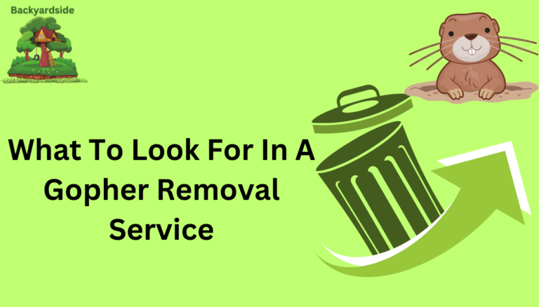 What To Look For In A Gopher Removal Service
