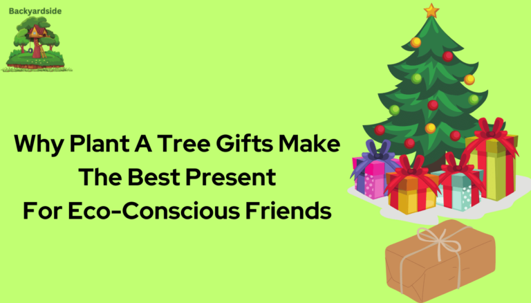Why Plant A Tree Gifts Make The Best Present For Eco-Conscious Friends
